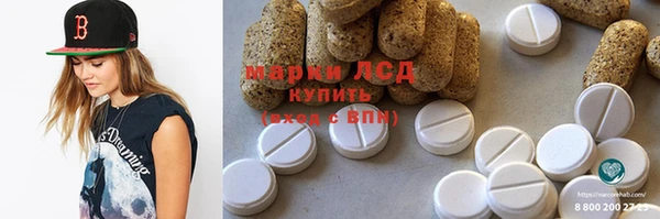 прущие грибы Михайлов