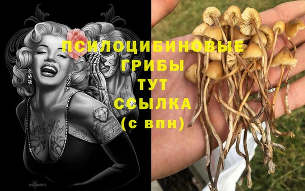 таблы Михайловск