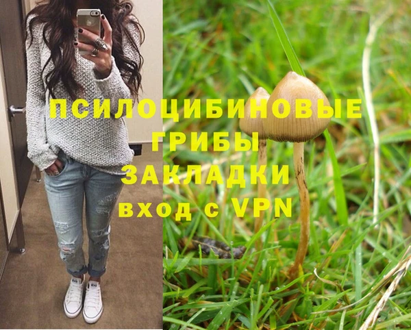 таблы Михайловск