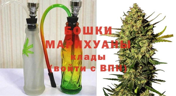 прущие грибы Михайлов