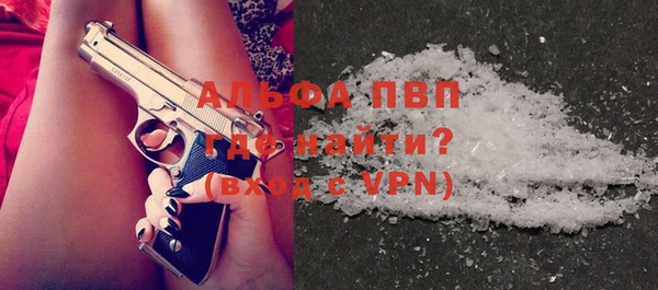 прущие грибы Михайлов