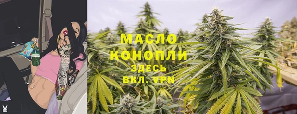 прущие грибы Михайлов