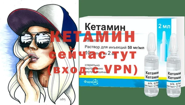 прущие грибы Михайлов