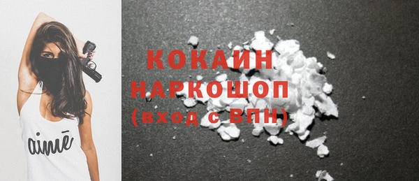 прущие грибы Михайлов