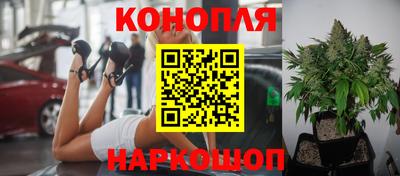 мяу мяу кристалл Донецк