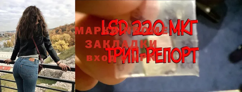 Марки NBOMe 1,5мг Саратов