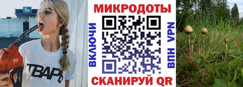 Псилоцибиновые грибы Magic Shrooms  купить наркотики цена  ОМГ ОМГ зеркало  Саратов 