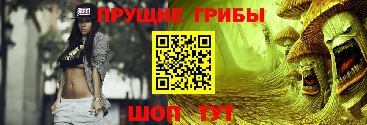 Псилоцибиновые грибы GOLDEN TEACHER Саратов