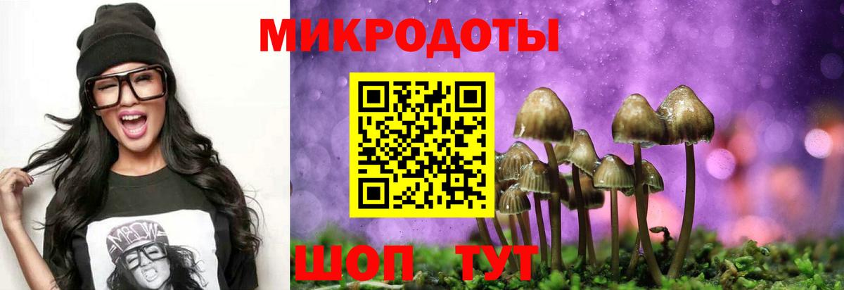 Галлюциногенные грибы мухоморы  Псилоцибиновые грибы ЛСД  Вход с VPN  Саратов 
