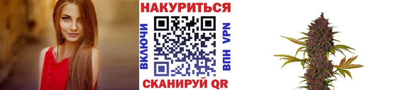 купить   Саратов  Конопля OG Kush 
